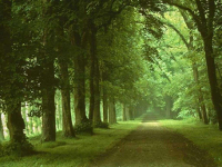 promenade