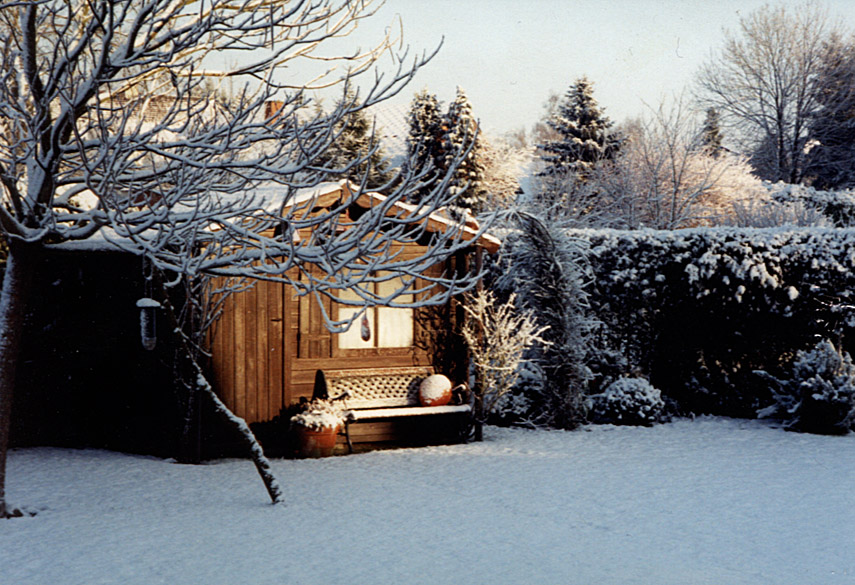 jardin sous la neige