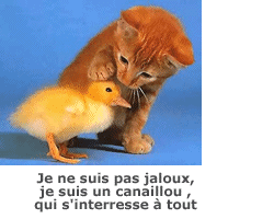 moment de tendresse ? moment de dcouverte?