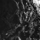 Arbres