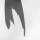 Abrstract